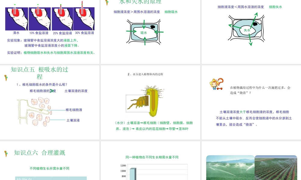 八年级生物上册 第三单元 第二章 第2节《根对水分的吸收》课件1 （新版）冀教版-（新版）冀教版初中八年级上册生物课件