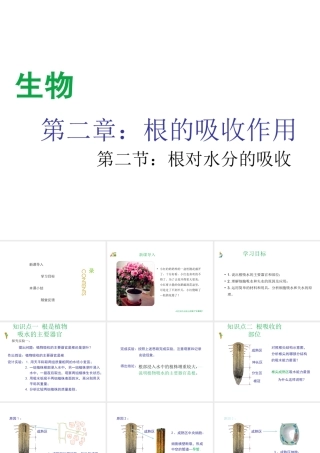 八年级生物上册 第三单元 第二章 第2节《根对水分的吸收》课件1 （新版）冀教版-（新版）冀教版初中八年级上册生物课件