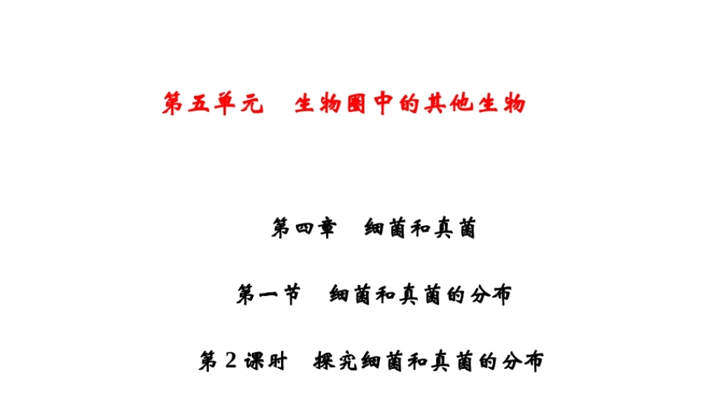 八年级生物上册 第5单元 第4章 第1节 细菌和真菌的分布（第2课时 探究细菌和真菌的分布）习题课件 （新版）新人教版-（新版）新人教版初中八年级上册生物课件