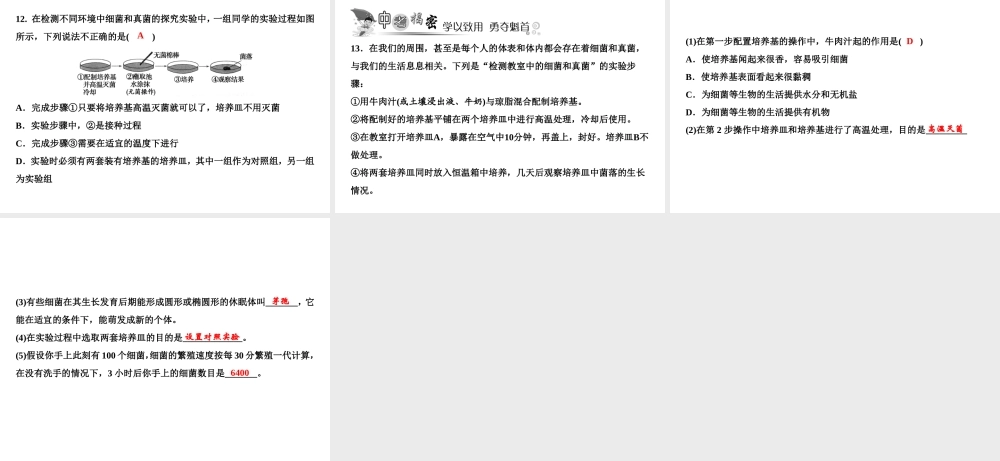 八年级生物上册 第5单元 第4章 第1节 细菌和真菌的分布（第2课时 探究细菌和真菌的分布）习题课件 （新版）新人教版-（新版）新人教版初中八年级上册生物课件