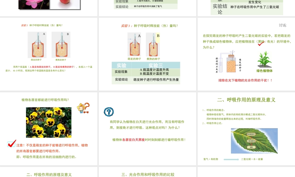 八年级生物上册 第三单元 第四章 第1节《呼吸作用》课件1 （新版）冀教版-（新版）冀教版初中八年级上册生物课件