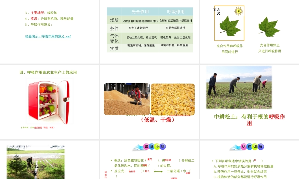 八年级生物上册 第三单元 第四章 第1节《呼吸作用》课件1 （新版）冀教版-（新版）冀教版初中八年级上册生物课件