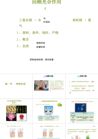 八年级生物上册 第三单元 第四章 第1节《呼吸作用》课件1 （新版）冀教版-（新版）冀教版初中八年级上册生物课件