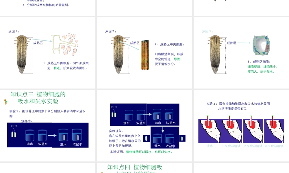 八年级生物上册 第三单元 第二章 第2节《根对水分的吸收》课件1 （新版）冀教版-（新版）冀教级上册生物课件