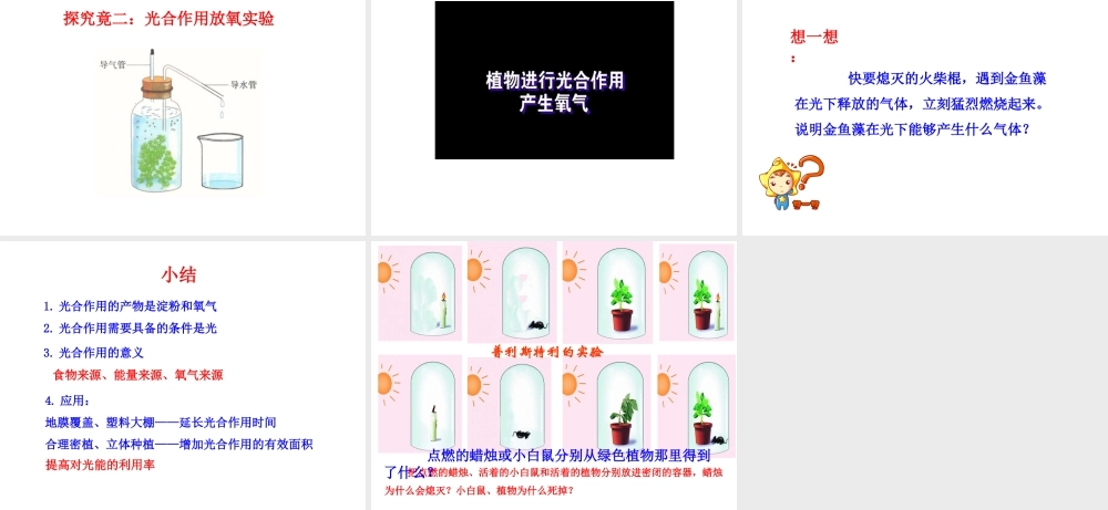 八年级生物上册 第三单元 第三章 第1节《光合作用的产物》课件 （新版）冀教版-（新版）冀教版初中八年级上册生物课件