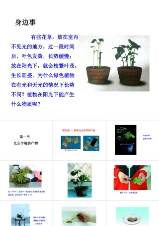 八年级生物上册 第三单元 第三章 第1节《光合作用的产物》课件 （新版）冀教版-（新版）冀教版初中八年级上册生物课件