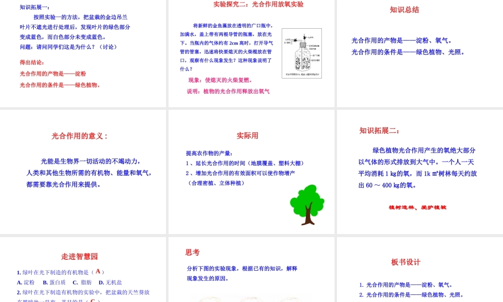 八年级生物上册 第三单元 第三章 第1节《光合作用的产物》说课课件 （新版）冀教版-（新版）冀教版初中八年级上册生物课件