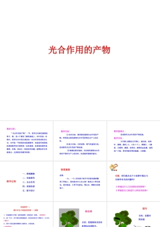 八年级生物上册 第三单元 第三章 第1节《光合作用的产物》说课课件 （新版）冀教版-（新版）冀教版初中八年级上册生物课件