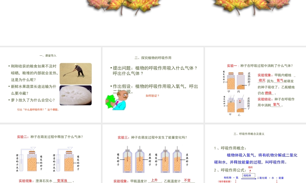 八年级生物上册 第三单元 第四章 第1节《呼吸作用》课件2 （新版）冀教版-（新版）冀教版初中八年级上册生物课件