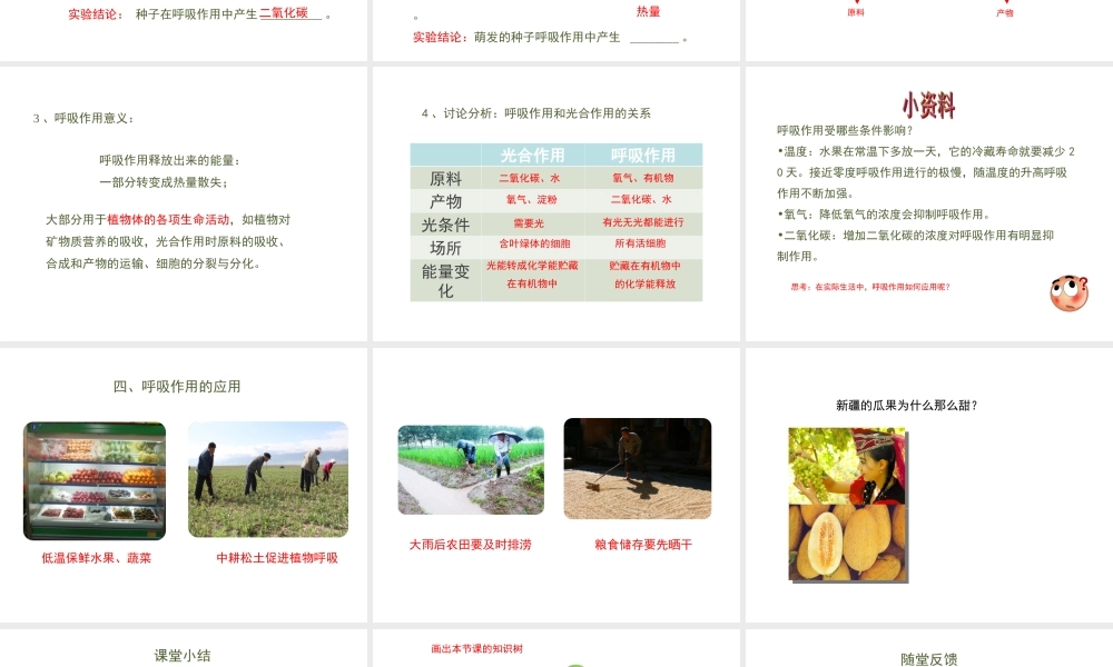 八年级生物上册 第三单元 第四章 第1节《呼吸作用》课件2 （新版）冀教版-（新版）冀教版初中八年级上册生物课件