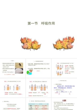 八年级生物上册 第三单元 第四章 第1节《呼吸作用》课件2 （新版）冀教版-（新版）冀教级上册生物课件