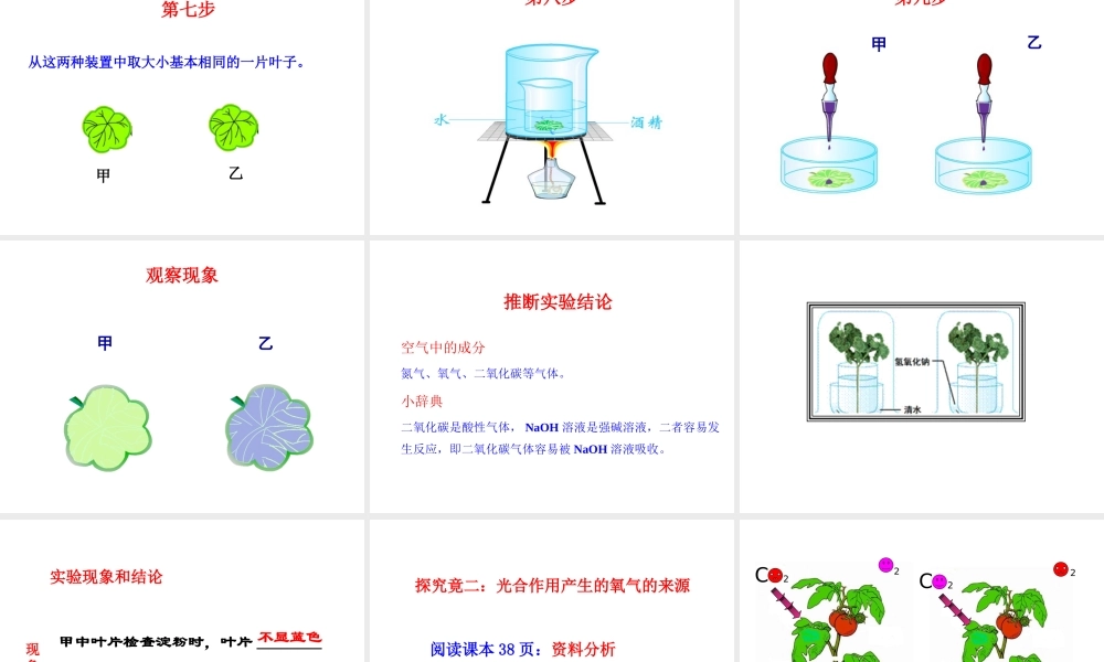 八年级生物上册 第三单元 第三章 第2节《光合作用的原料》课件 （新版）冀教版-（新版）冀教版初中八年级上册生物课件