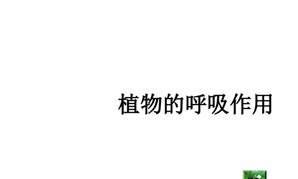 八年级生物上册 第三单元 第四章 第1节呼吸作用课件 （新版）冀教版-（新版）冀教版初中八年级上册生物课件