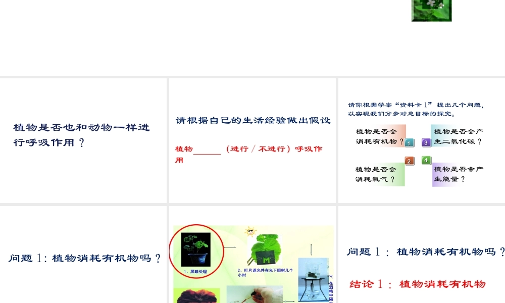 八年级生物上册 第三单元 第四章 第1节呼吸作用课件 （新版）冀教版-（新版）冀教版初中八年级上册生物课件