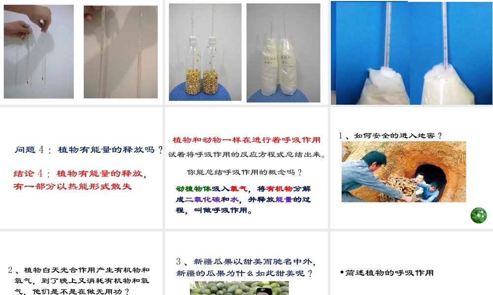 八年级生物上册 第三单元 第四章 第1节呼吸作用课件 （新版）冀教版-（新版）冀教版初中八年级上册生物课件