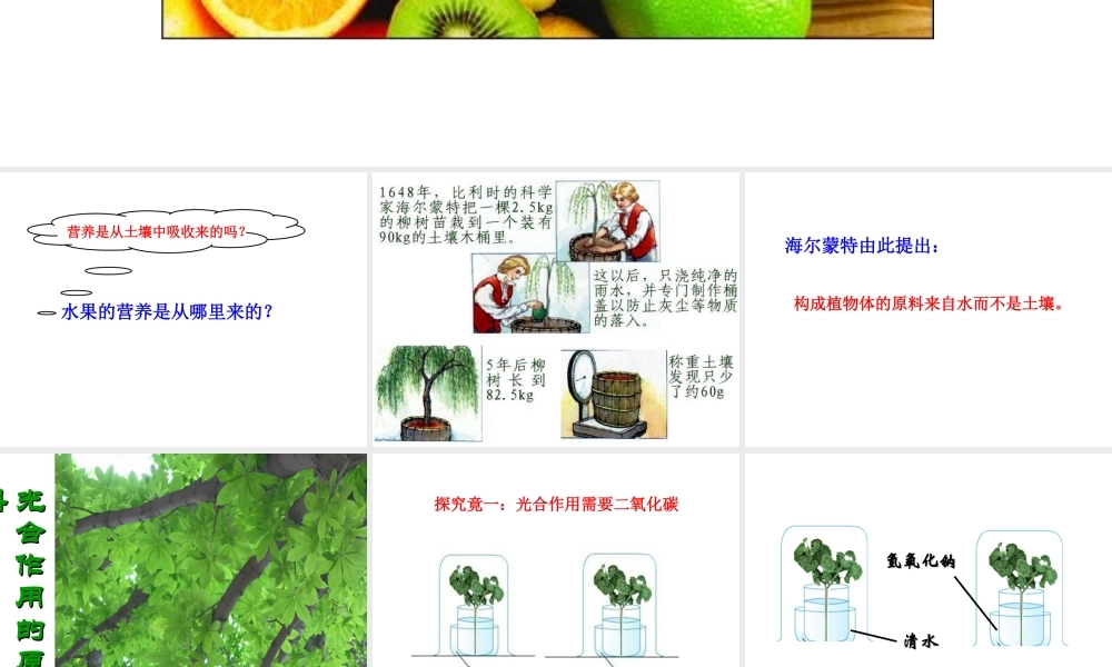 八年级生物上册 第三单元 第三章 第2节《光合作用的原料》课件 （新版）冀教版-（新版）冀教级上册生物课件