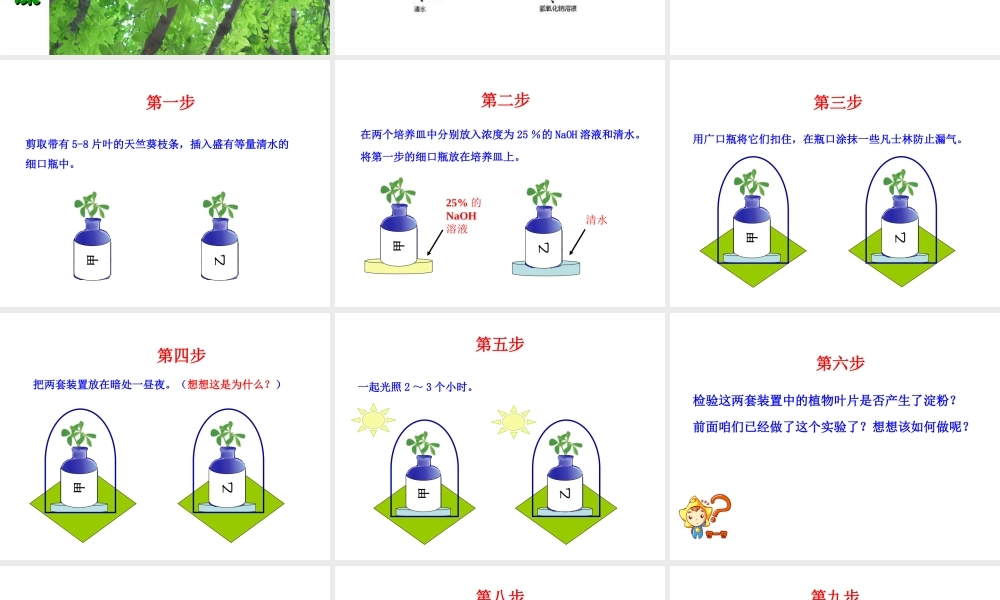 八年级生物上册 第三单元 第三章 第2节《光合作用的原料》课件 （新版）冀教版-（新版）冀教级上册生物课件