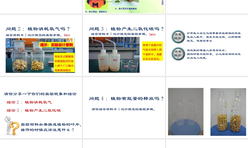 八年级生物上册 第三单元 第四章 第1节呼吸作用课件 （新版）冀教版-（新版）冀教级上册生物课件