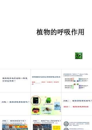 八年级生物上册 第三单元 第四章 第1节呼吸作用课件 （新版）冀教版-（新版）冀教级上册生物课件