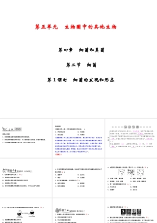 八年级生物上册 第5单元 第4章 第2节 细菌（第1课时 细菌的发现和形态）习题课件 （新版）新人教版-（新版）新人教版初中八年级上册生物课件
