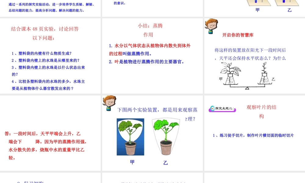 八年级生物上册 第三单元 第四章 第2节《蒸腾作用》课件1 （新版）冀教版-（新版）冀教版初中八年级上册生物课件
