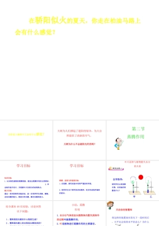 八年级生物上册 第三单元 第四章 第2节《蒸腾作用》课件1 （新版）冀教版-（新版）冀教版初中八年级上册生物课件