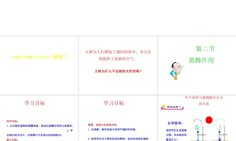 八年级生物上册 第三单元 第四章 第2节《蒸腾作用》课件1 （新版）冀教版-（新版）冀教级上册生物课件