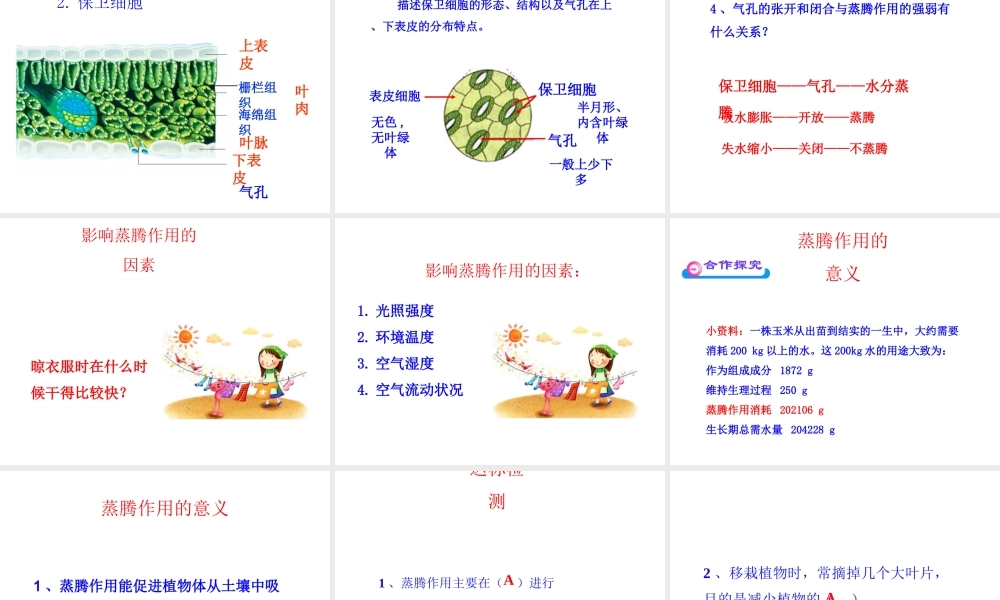 八年级生物上册 第三单元 第四章 第2节《蒸腾作用》课件1 （新版）冀教版-（新版）冀教级上册生物课件