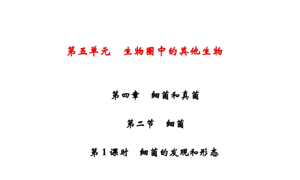 八年级生物上册 第5单元 第4章 第2节 细菌（第1课时 细菌的发现和形态）习题课件 （新版）新人教版-（新版）新人教级上册生物课件