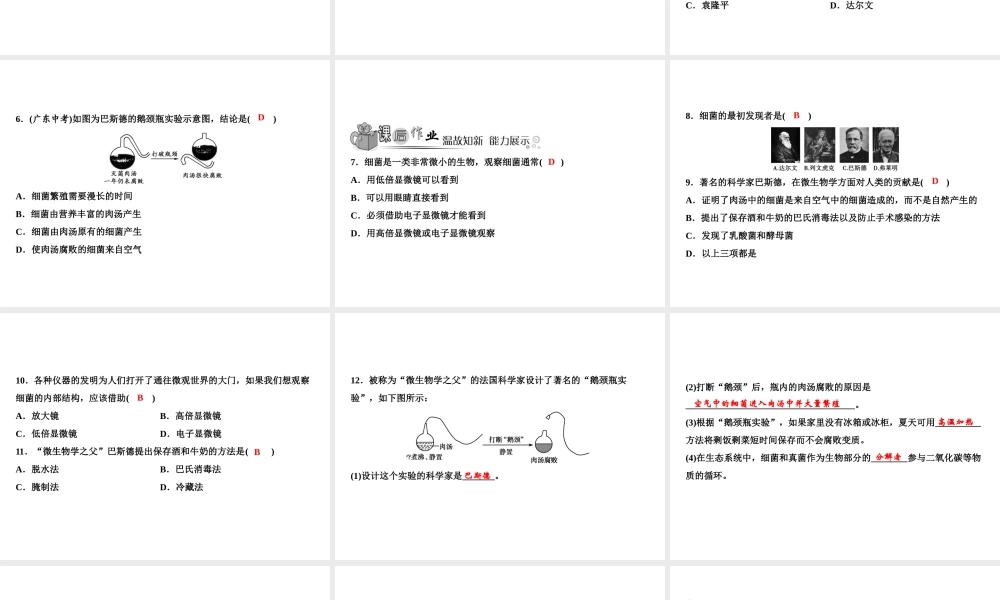 八年级生物上册 第5单元 第4章 第2节 细菌（第1课时 细菌的发现和形态）习题课件 （新版）新人教版-（新版）新人教级上册生物课件