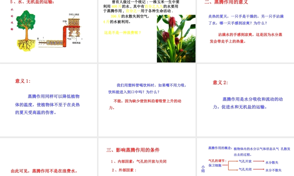 八年级生物上册 第三单元 第四章 第2节《蒸腾作用》课件2 （新版）冀教版-（新版）冀教版初中八年级上册生物课件