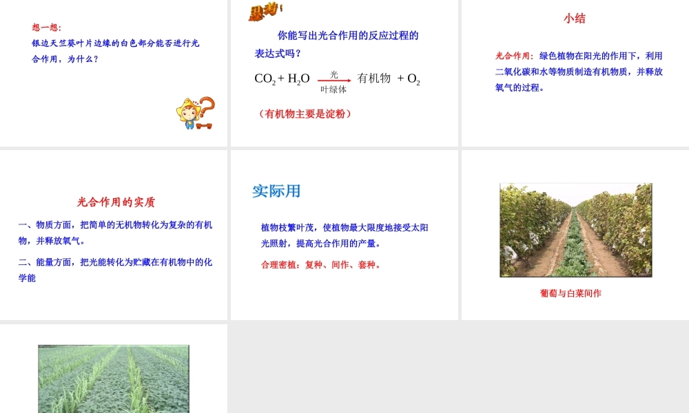 八年级生物上册 第三单元 第三章 第3节《光合作用的场所》课件 （新版）冀教版-（新版）冀教版初中八年级上册生物课件