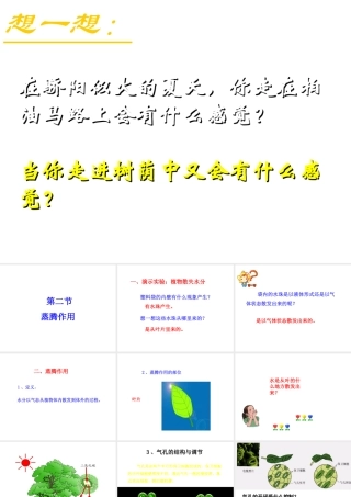 八年级生物上册 第三单元 第四章 第2节《蒸腾作用》课件2 （新版）冀教版-（新版）冀教级上册生物课件