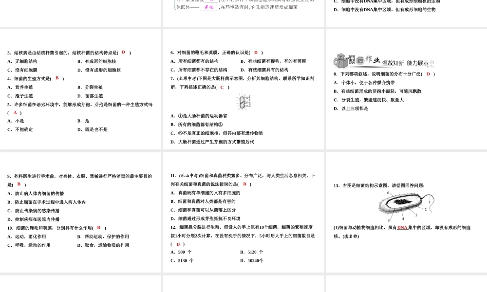 八年级生物上册 第5单元 第4章 第2节 细菌（第2课时 细菌的结构和生殖）习题课件 （新版）新人教版-（新版）新人教版初中八年级上册生物课件