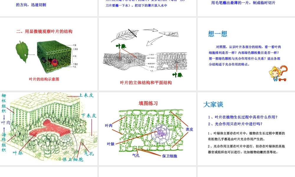 八年级生物上册 第三单元 第三章 第3节《光合作用的场所》课件 （新版）冀教版-（新版）冀教级上册生物课件