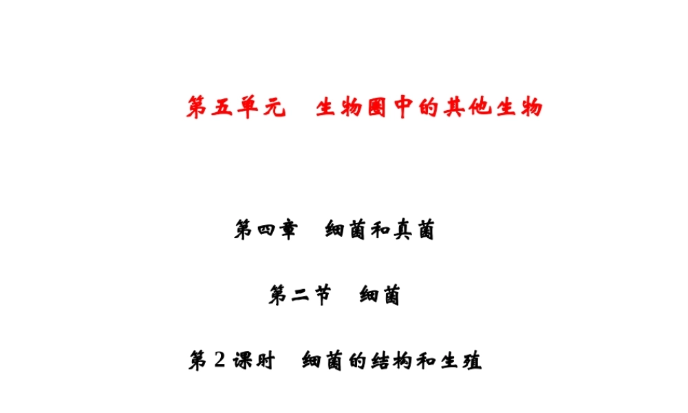 八年级生物上册 第5单元 第4章 第2节 细菌（第2课时 细菌的结构和生殖）习题课件 （新版）新人教版-（新版）新人教级上册生物课件