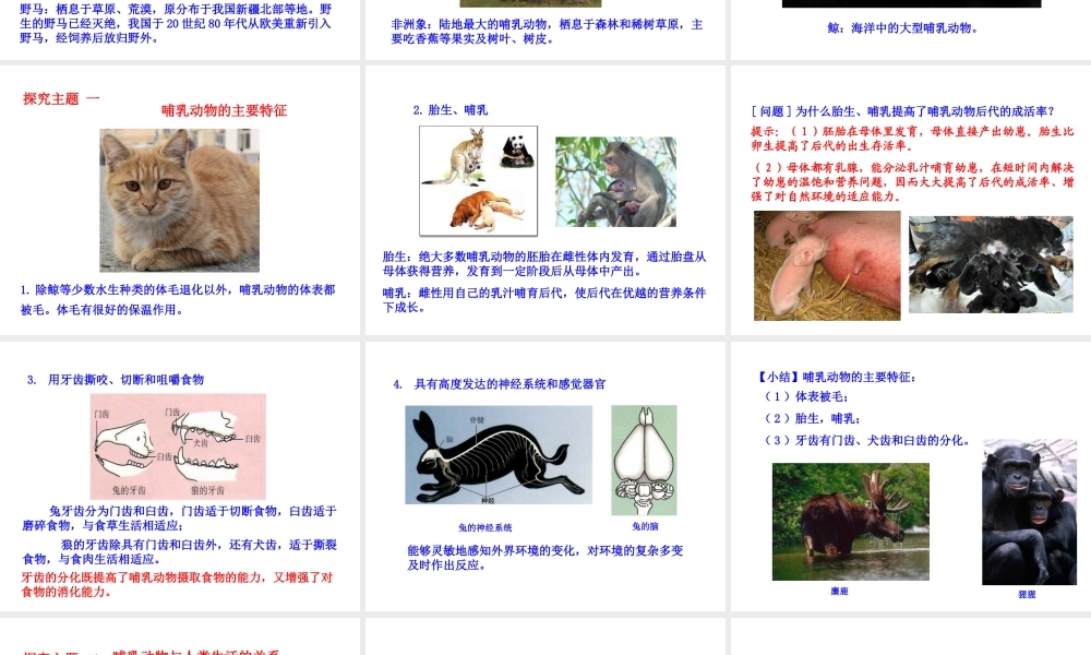 八年级生物上册 第五单元 第一章 第七节 哺乳动物课件 （新版）新人教版