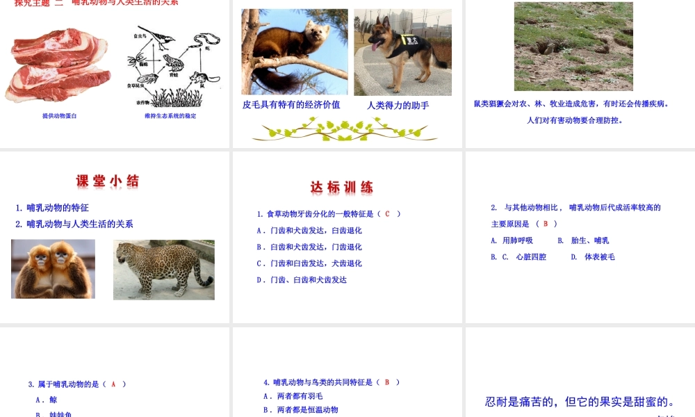 八年级生物上册 第五单元 第一章 第七节 哺乳动物课件 （新版）新人教版