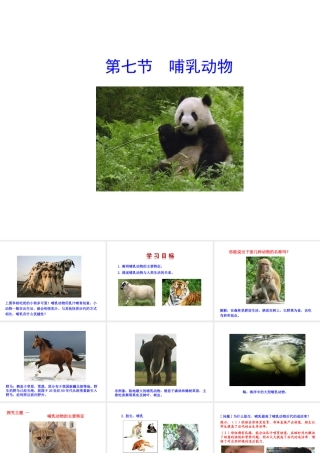 八年级生物上册 第五单元 第一章 第七节 哺乳动物课件 （新版）新人教版