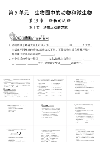 八年级生物上册 第五单元 第15章 第1节 动物运动的方式习题课件 （新版）北师大版-（新版）北师大版初中八年级上册生物课件