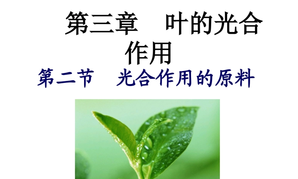 八年级生物上册 第三单元 第三章 第二节光合作用的原料课件 （新版）冀教版-（新版）冀教版初中八年级上册生物课件
