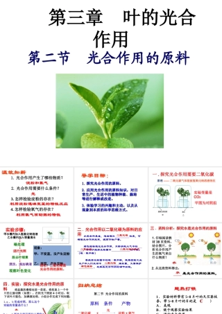 八年级生物上册 第三单元 第三章 第二节光合作用的原料课件 （新版）冀教版-（新版）冀教版初中八年级上册生物课件