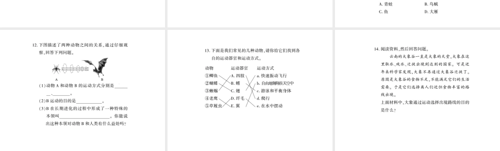 八年级生物上册 第五单元 第15章 第1节 动物运动的方式习题课件 （新版）北师大版-（新版）北师大级上册生物课件