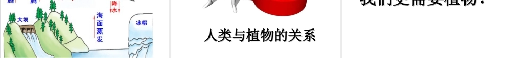 八年级生物上册 第三单元 第四章 第二节 蒸腾作用课件 （新版）冀教版-（新版）冀教版初中八年级上册生物课件