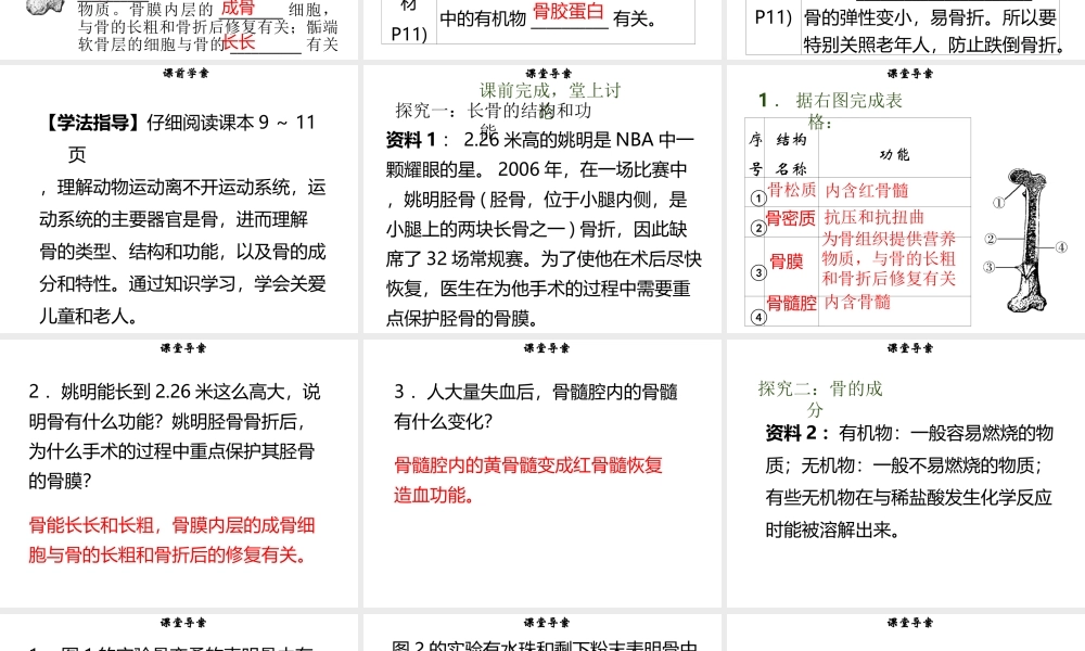 八年级生物上册 第五单元 第15章 第2节 动物运动的形成（第1课时 骨的结构）习题课件 （新版）北师大版-（新版）北师大版初中八年级上册生物课件