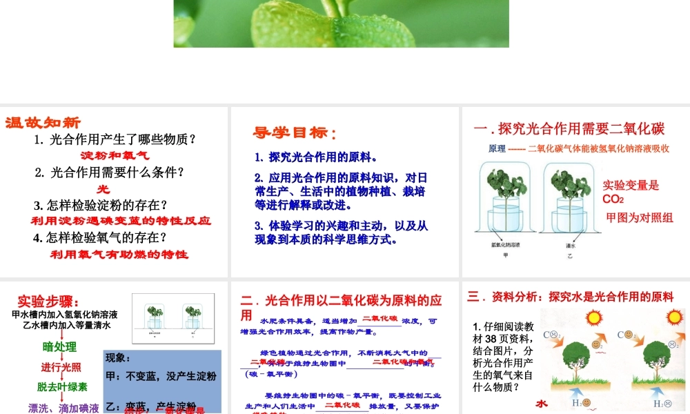 八年级生物上册 第三单元 第三章 第二节光合作用的原料课件 （新版）冀教版-（新版）冀教级上册生物课件