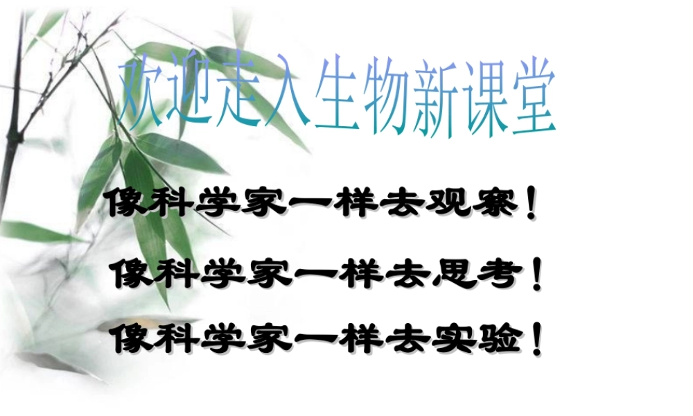 八年级生物上册 第三单元 第三章 第一节 光合作用的产物课件 （新版）冀教版-（新版）冀教版初中八年级上册生物课件