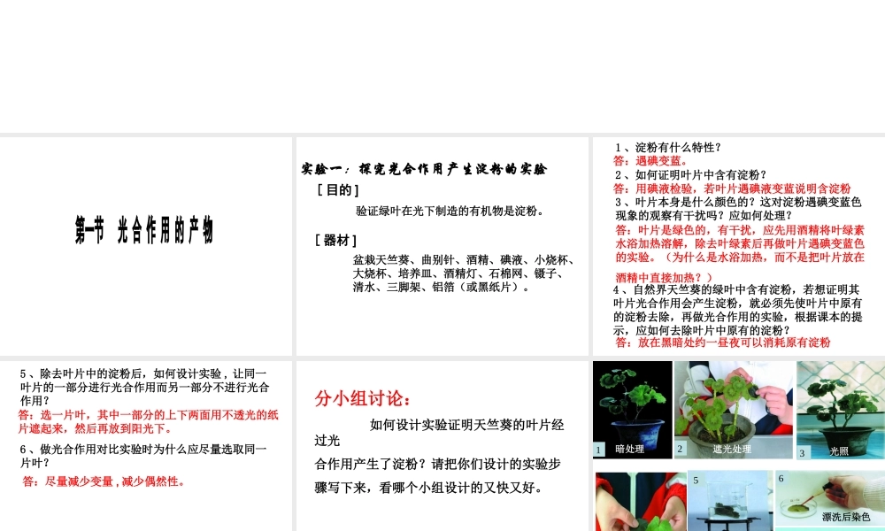 八年级生物上册 第三单元 第三章 第一节 光合作用的产物课件 （新版）冀教版-（新版）冀教版初中八年级上册生物课件