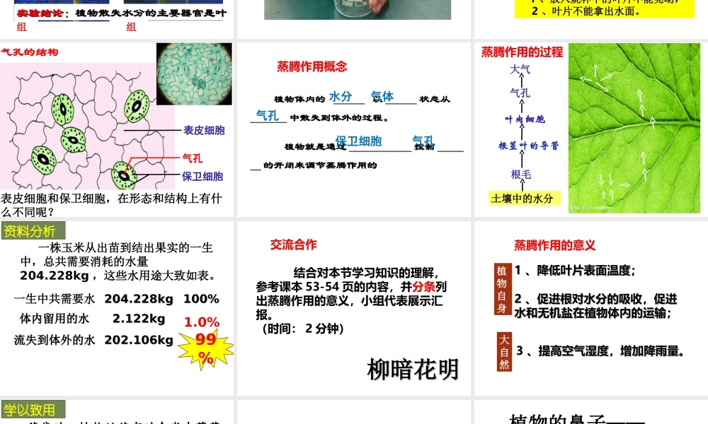 八年级生物上册 第三单元 第四章 第二节 蒸腾作用课件 （新版）冀教版-（新版）冀教级上册生物课件