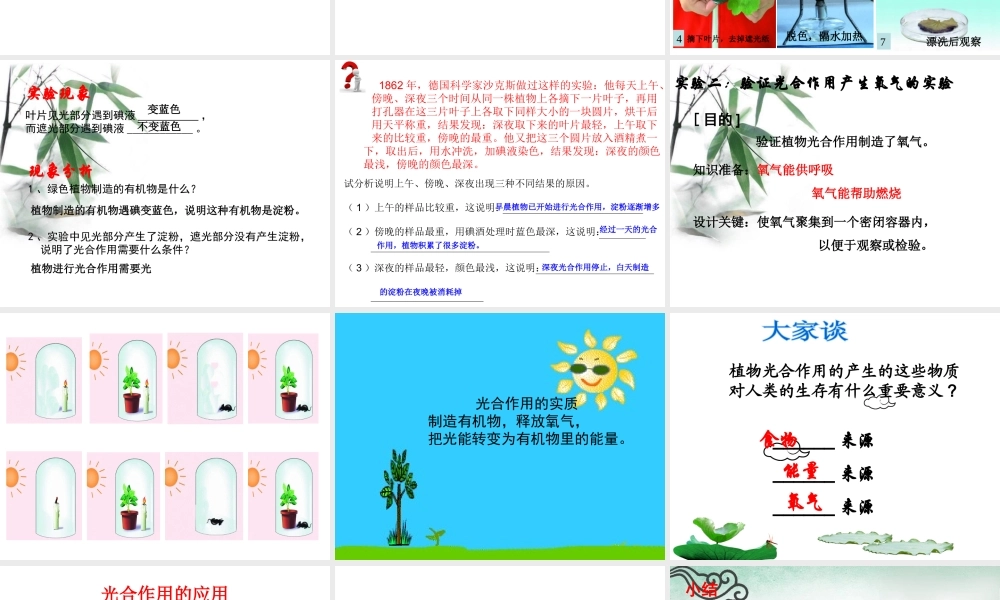 八年级生物上册 第三单元 第三章 第一节 光合作用的产物课件 （新版）冀教版-（新版）冀教级上册生物课件